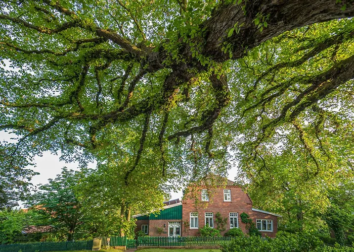 Noorderpad 5 Sternenkieker *